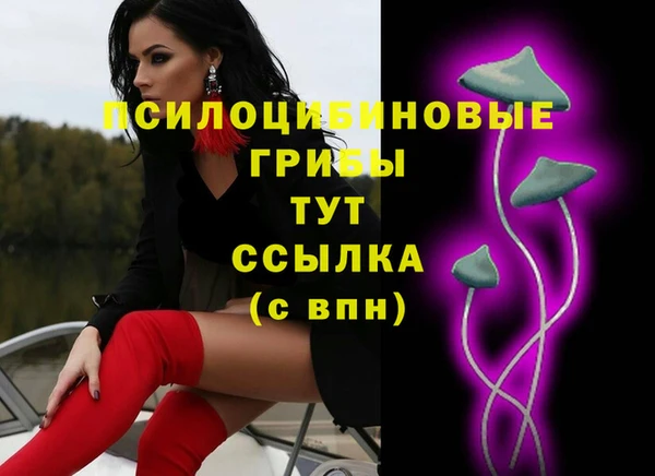 спиды Абинск