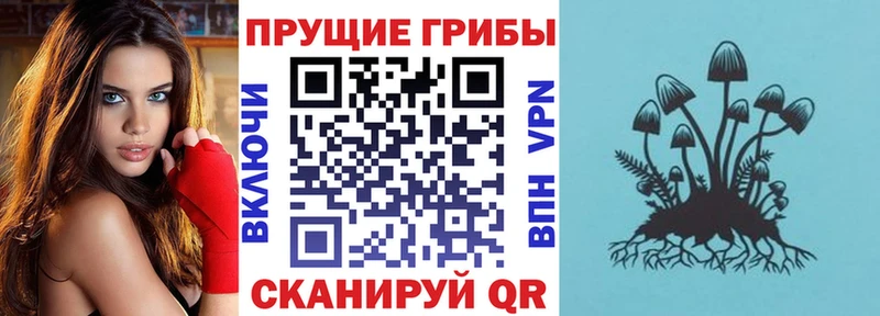 KRAKEN сайт  Тула  Галлюциногенные грибы мухоморы  цена  