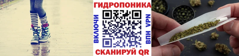 Канабис ГИДРОПОН Тула